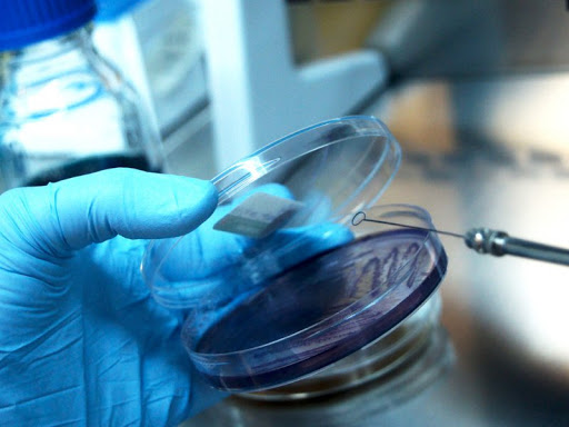 Bakteriyolojik Testler